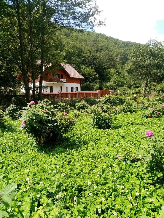 Отель Livada Amely Gales Экстерьер фото