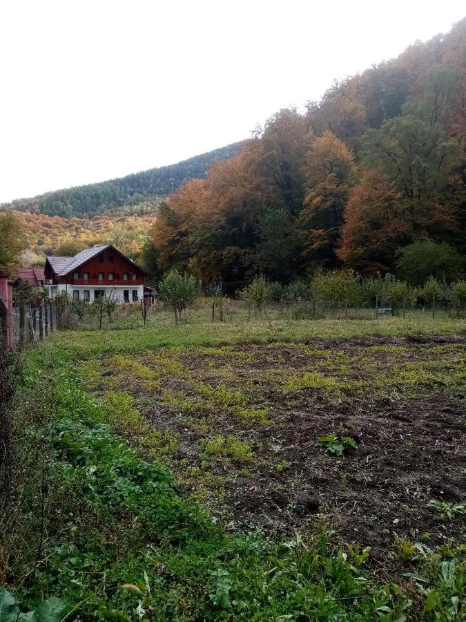 Отель Livada Amely Gales Экстерьер фото